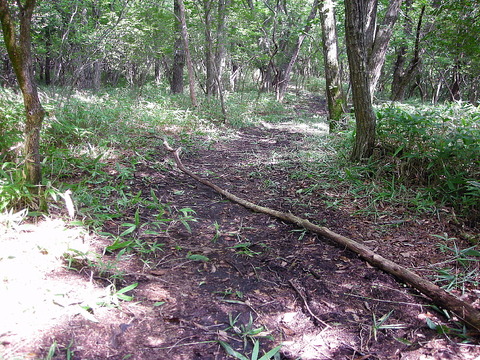 Photo0044