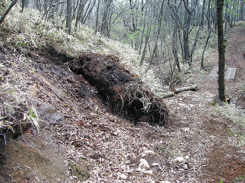 Photo0049