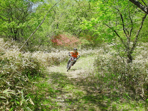 Photo0031