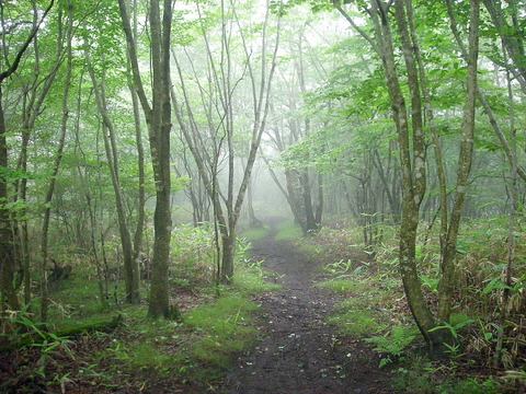 Photo0077