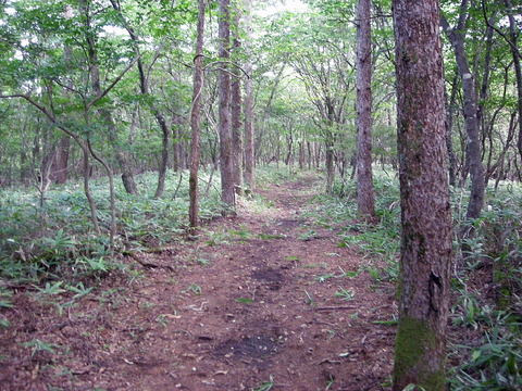 Photo0024