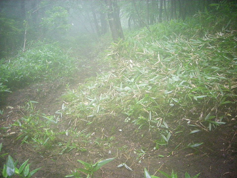 Photo0040