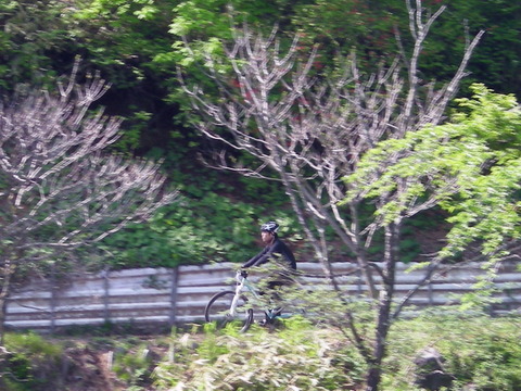Photo0062
