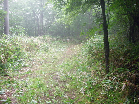 Photo0018