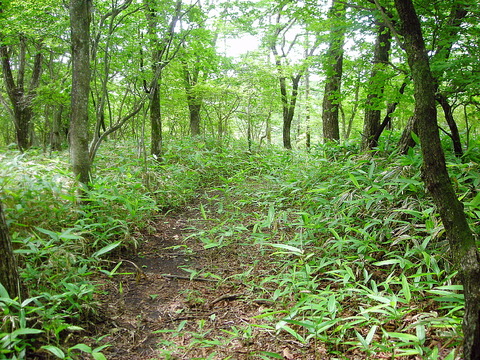 Photo0005