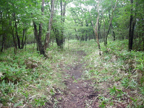 Photo0027
