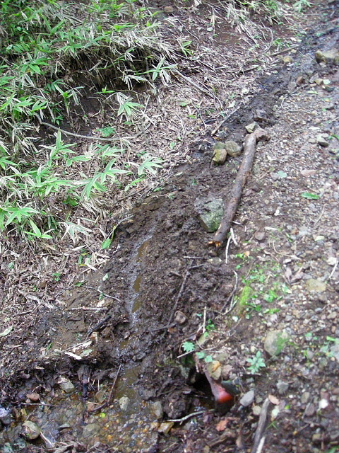 Photo0194
