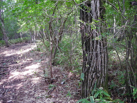 Photo0102