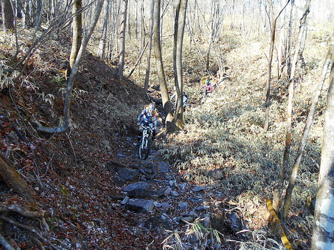 Photo0029