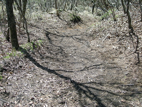 Photo0054