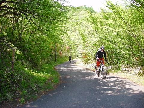Photo0040