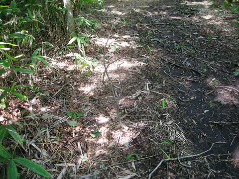 Photo0059