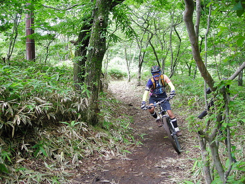 Photo0006