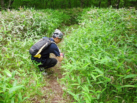 Photo0010