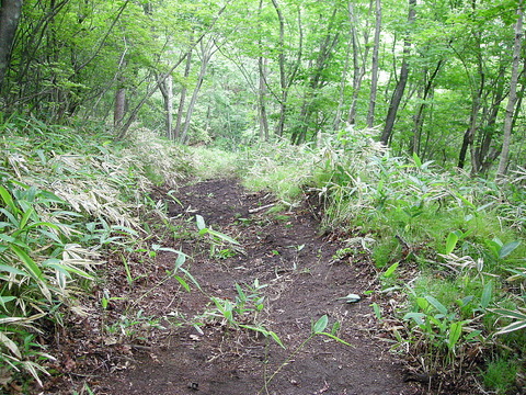 Photo0007