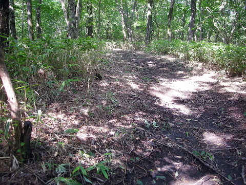Photo0058