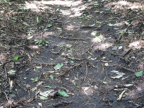 Photo0065