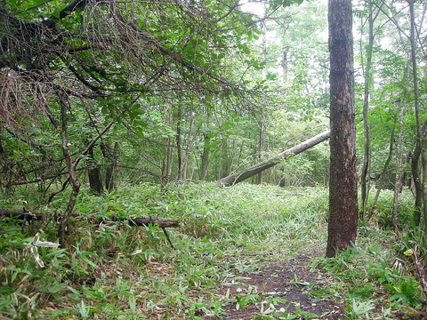 Photo0017
