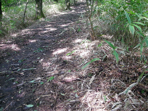 Photo0067