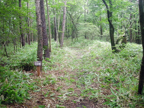 Photo0023