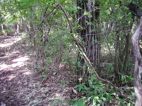 Photo0101