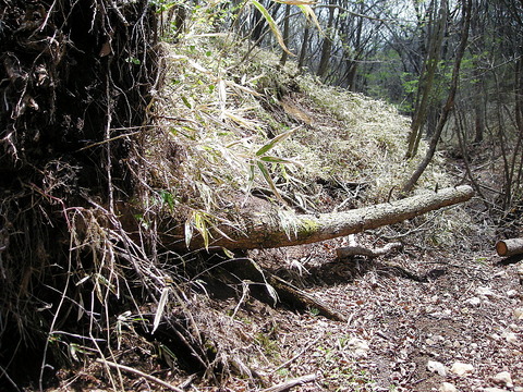 Photo0045