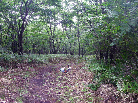 Photo0010