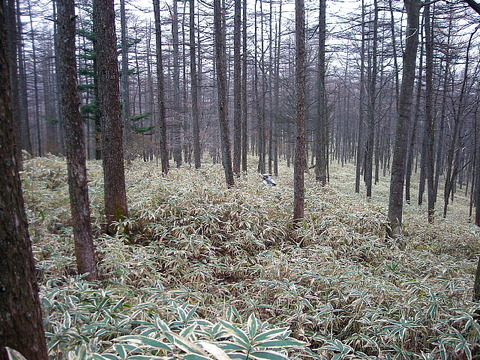 Photo0079