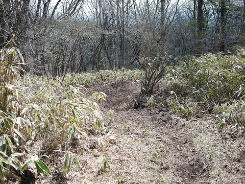 Photo0117