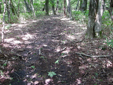 Photo0080