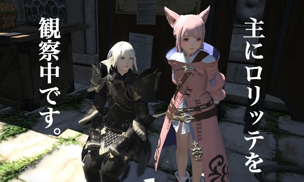 ロリッテとヒマワリと私 空き地でのろのろ自由帳