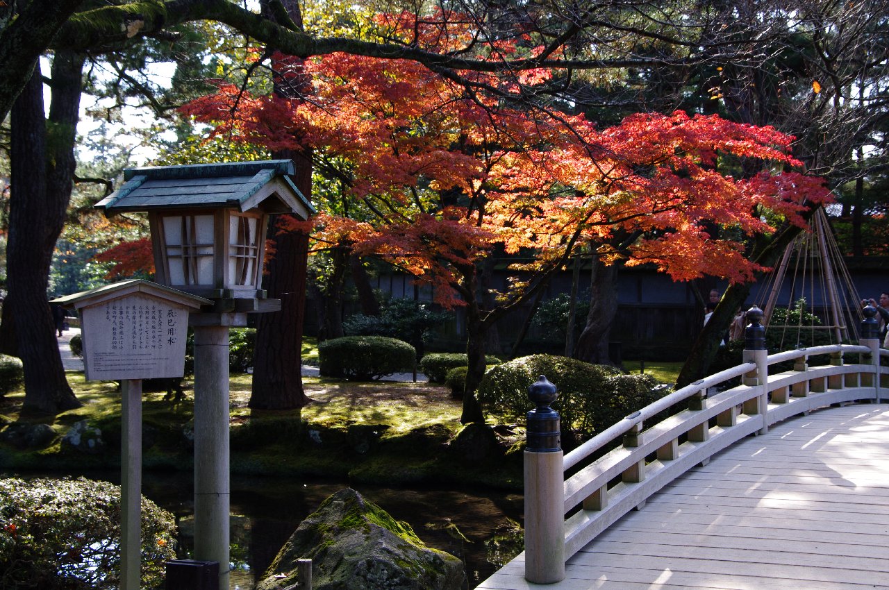 兼六園の紅葉 3 あきの気まぐれな旅
