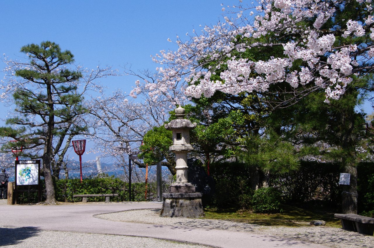 朝日山公園さくら あきの気まぐれな旅