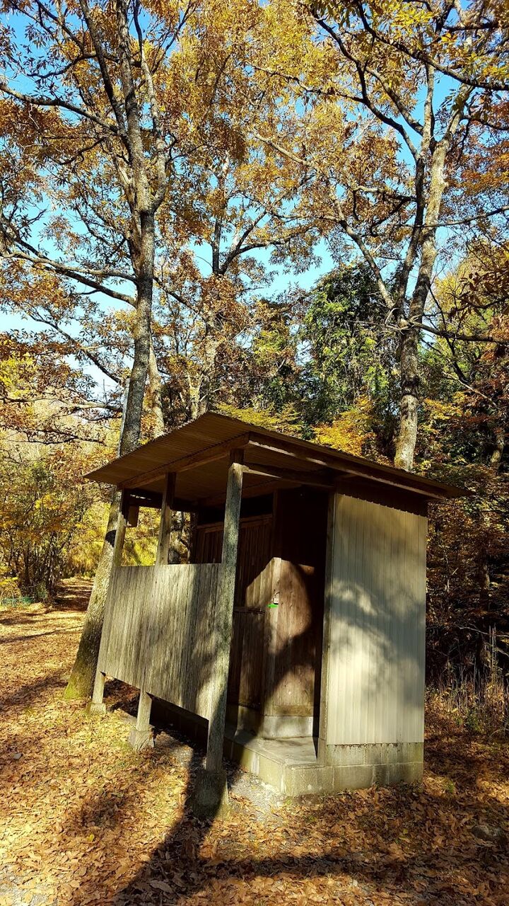 ジュニアへの助言 茶屋の原キャンプ場 な 日々 ジュニアへの助言 茶屋の原キャンプ場 な 日々