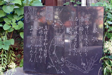 DSC02962