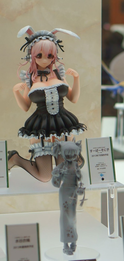 DSC07394