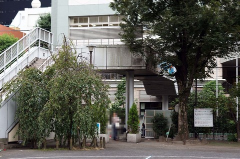 DSC03001