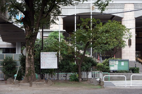 DSC03000