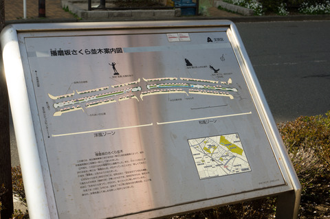 20130324-00390