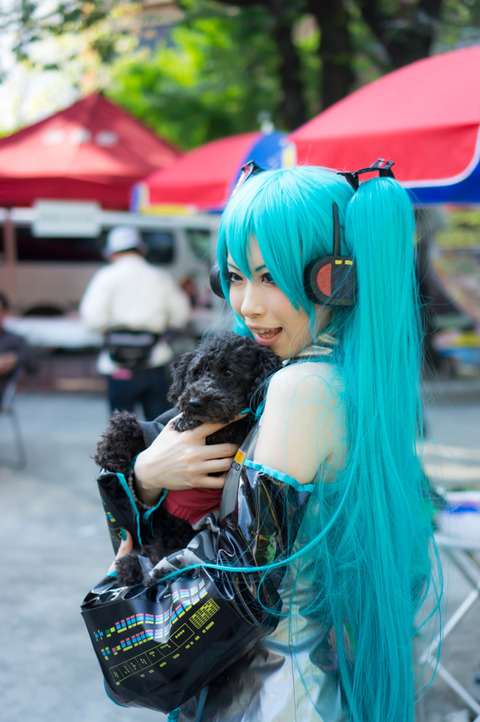 20130324-00685
