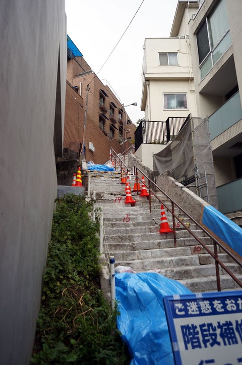 DSC05237