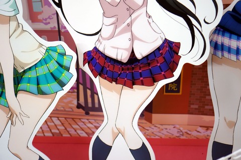 DSC06526