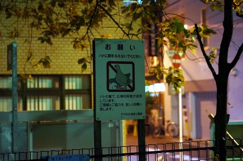 DSC03061