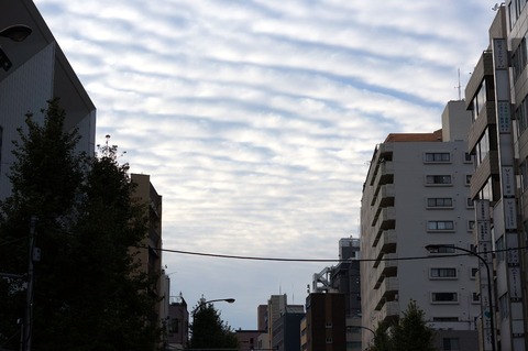 DSC03256