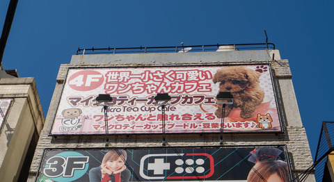 DSC06116