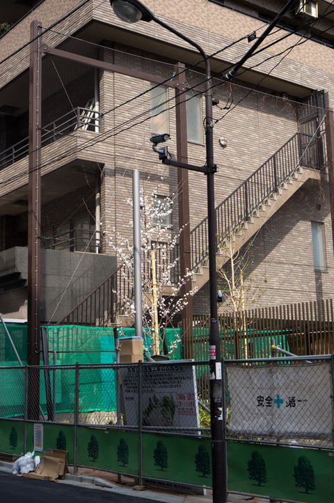 20130324-00381