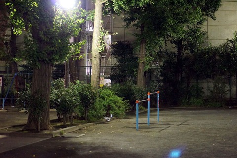 DSC03045