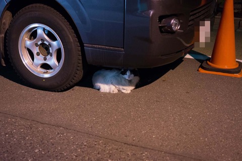 DSC00145