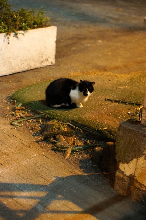 DSC03576