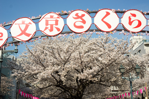 20130324-00391